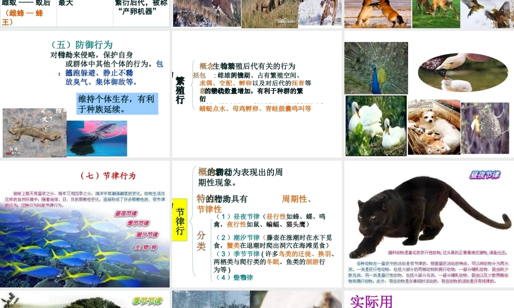 -八年级生物上册 4.2.2 动物行为的类型课件（1）（新版）冀教版-（新版）冀教级上册生物课件