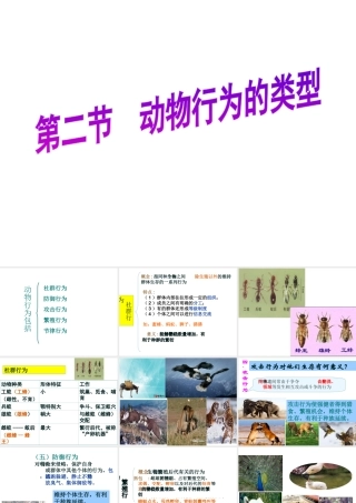 -八年级生物上册 4.2.2 动物行为的类型课件（1）（新版）冀教版-（新版）冀教级上册生物课件