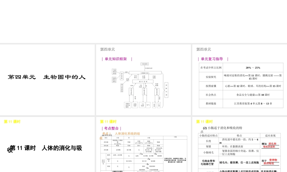 2012年中考生物一轮复习 七年级下册 第四单元 生物圈中的人2精品课件 苏教版