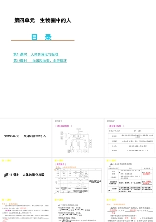 2012年中考生物一轮复习 七年级下册 第四单元 生物圈中的人2精品课件 苏教版