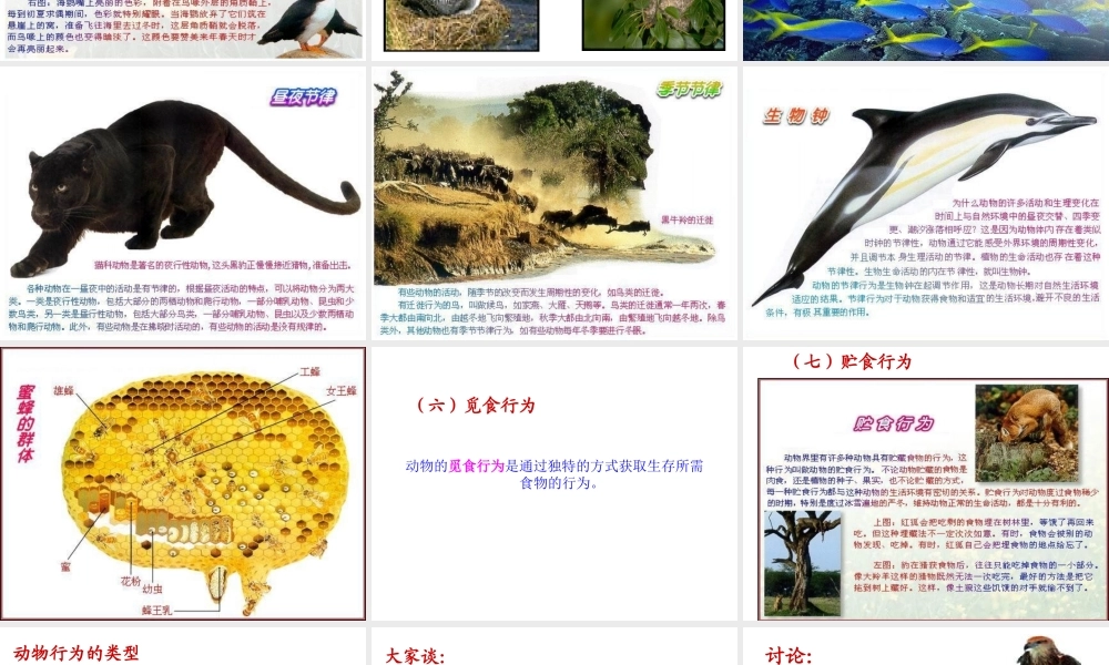 -八年级生物上册 4.2.2 动物行为的类型课件（2）（新版）冀教版-（新版）冀教版初中八年级上册生物课件