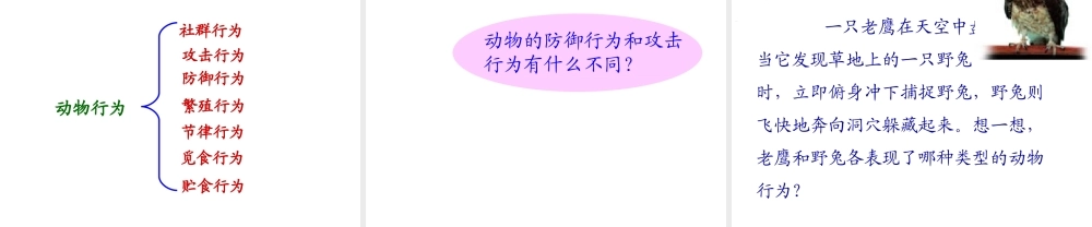 -八年级生物上册 4.2.2 动物行为的类型课件（2）（新版）冀教版-（新版）冀教版初中八年级上册生物课件