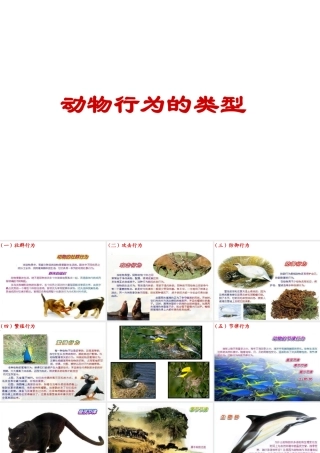 -八年级生物上册 4.2.2 动物行为的类型课件（2）（新版）冀教版-（新版）冀教版初中八年级上册生物课件