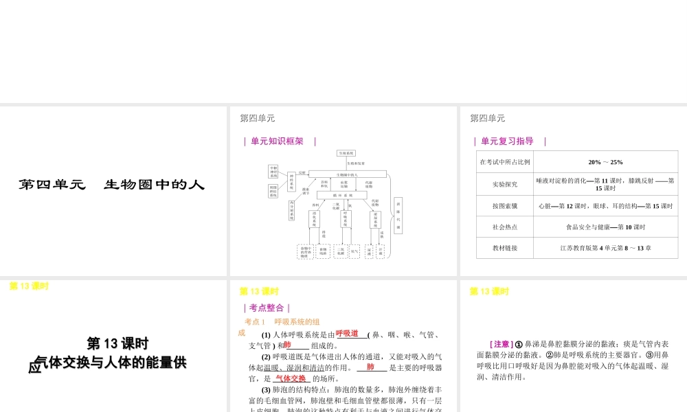 2012年中考生物一轮复习 七年级下册 第四单元 生物圈中的人3精品课件 苏教版