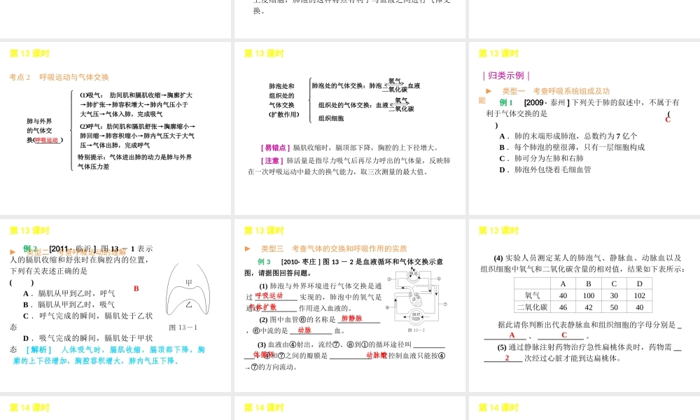 2012年中考生物一轮复习 七年级下册 第四单元 生物圈中的人3精品课件 苏教版