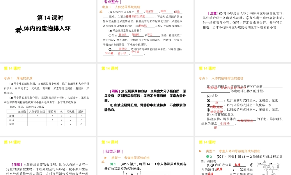 2012年中考生物一轮复习 七年级下册 第四单元 生物圈中的人3精品课件 苏教版
