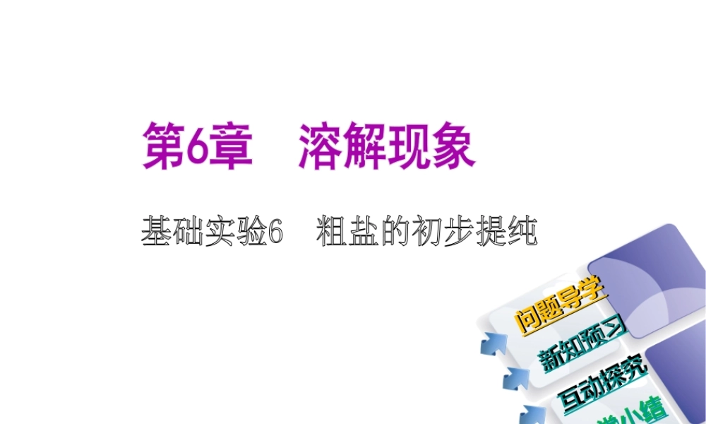 2014-2015九年级化学下册 基础实验6 粗盐的初步提纯课件 （新版）沪教版