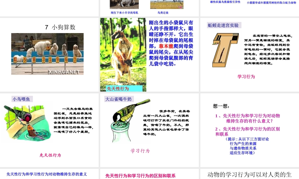 -八年级生物上册 4.2.3 先天性行为和学习行为课件（1）（新版）冀教版-（新版）冀教版初中八年级上册生物课件