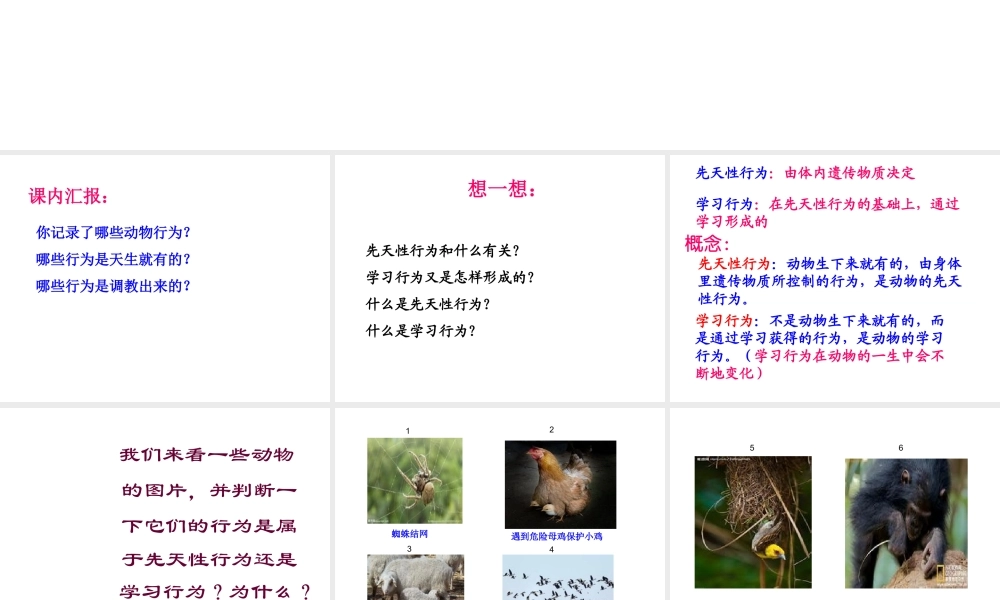 -八年级生物上册 4.2.3 先天性行为和学习行为课件（1）（新版）冀教版-（新版）冀教级上册生物课件