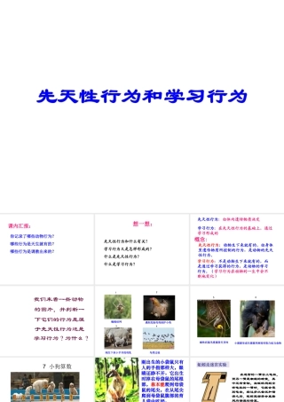 -八年级生物上册 4.2.3 先天性行为和学习行为课件（1）（新版）冀教版-（新版）冀教级上册生物课件