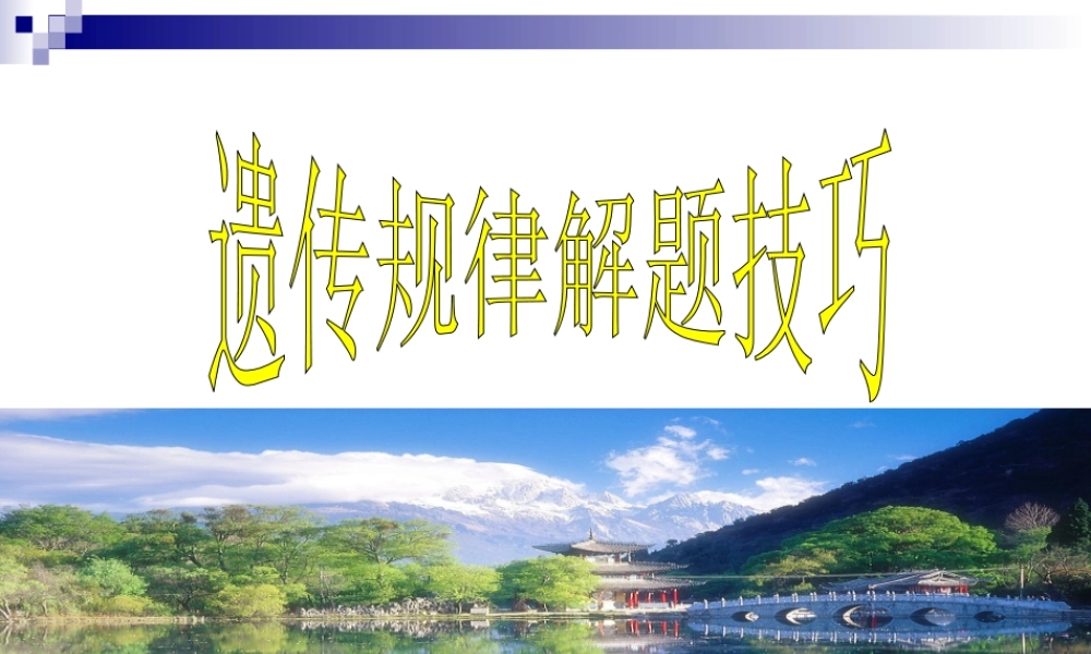 2010届高三生物高考专题复习课件（13）——新课标高中生物遗传解题技巧全国通用