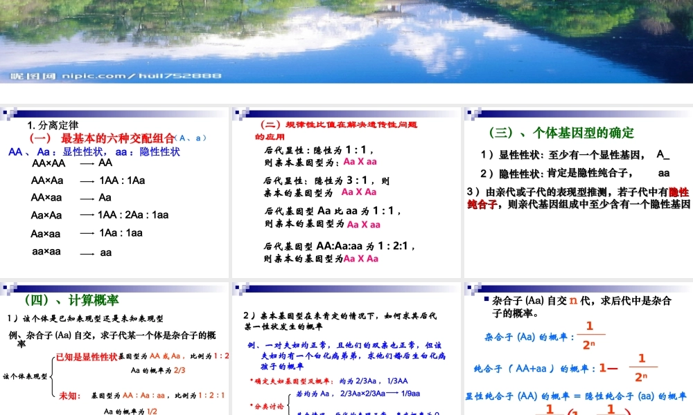 2010届高三生物高考专题复习课件（13）——新课标高中生物遗传解题技巧全国通用