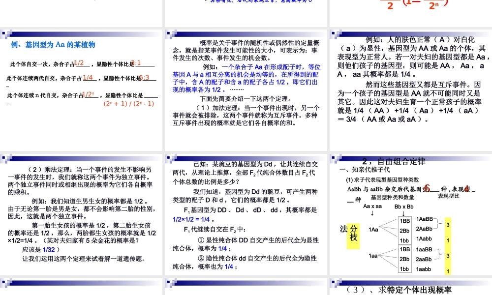 2010届高三生物高考专题复习课件（13）——新课标高中生物遗传解题技巧全国通用