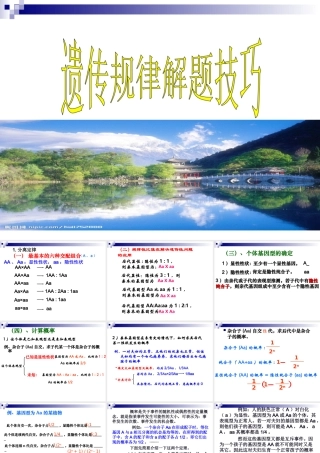 2010届高三生物高考专题复习课件（13）——新课标高中生物遗传解题技巧全国通用