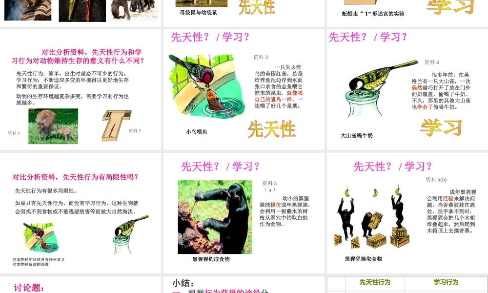 -八年级生物上册 4.2.3 先天性行为和学习行为课件（2）（新版）冀教版-（新版）冀教版初中八年级上册生物课件