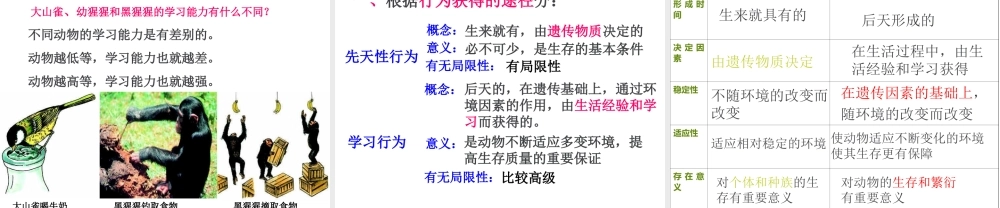 -八年级生物上册 4.2.3 先天性行为和学习行为课件（2）（新版）冀教版-（新版）冀教级上册生物课件