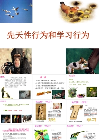 -八年级生物上册 4.2.3 先天性行为和学习行为课件（2）（新版）冀教版-（新版）冀教级上册生物课件