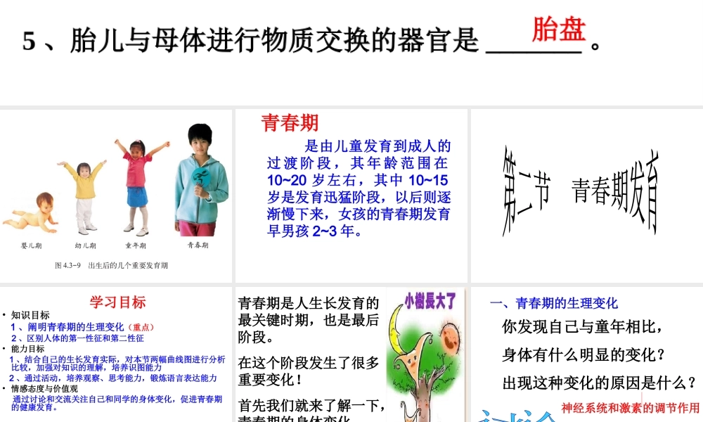-八年级生物上册 4.3.2 青春期发育优秀课件 （新版）济南版-（新版）济南级上册生物课件
