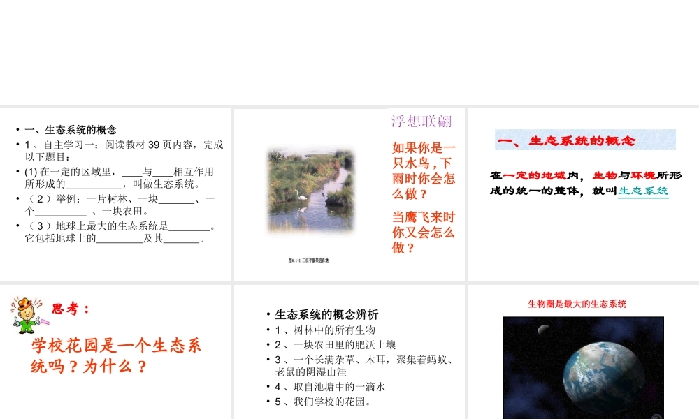 -八年级生物上册 5.1.1 生命的起源优秀课件 （新版）济南版-（新版）济南版初中八年级上册生物课件