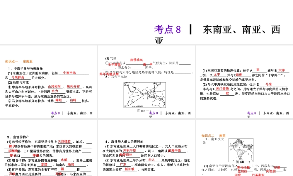 2013届中考地理最后冲刺练 考点8 东南亚、南亚、西亚课件 湘教版