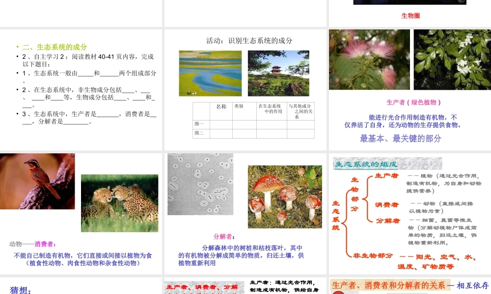 -八年级生物上册 5.1.1 生命的起源优秀课件 （新版）济南版-（新版）济南级上册生物课件