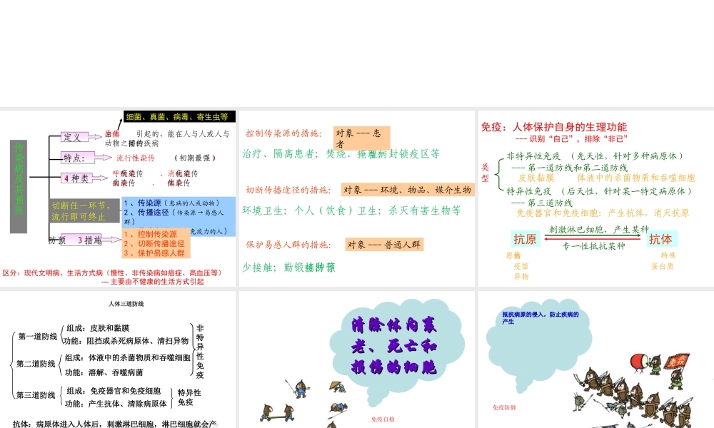 -八年级生物下册 第八单元 第一章 传染病和免疫复习课件 新人教版-新人教版初中八年级下册生物课件