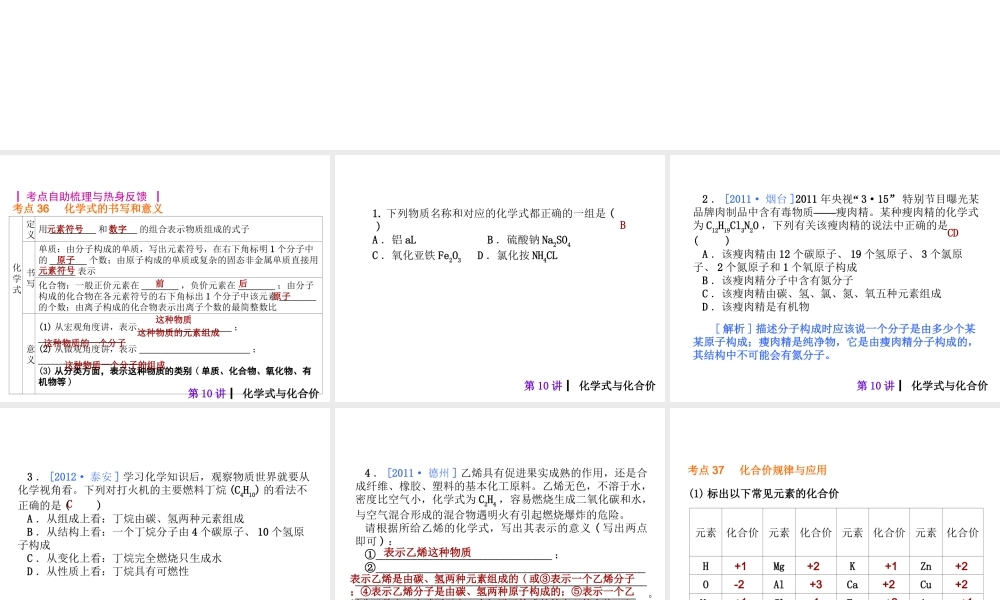 2013届中考化学考前热点冲刺《第十讲 化学式与化合价》（单课考点自主梳理+热点反馈+典例真题分析）课件 新人教版