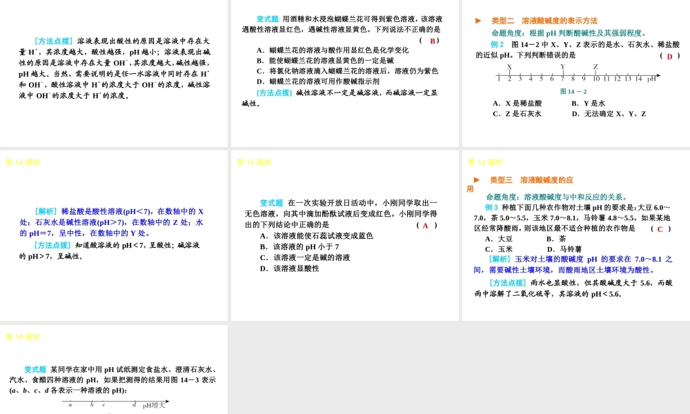 2013届中考化学考前热点聚焦《第14课时 溶液的酸碱性》（单课考点聚焦+热考精讲+知识点归类）课件 沪教版