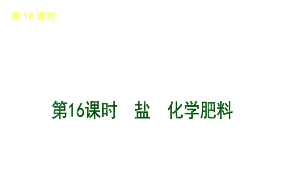 2013届中考化学考前热点聚焦《第16课时 盐 化学肥料》（单课考点聚焦+热考精讲+知识点归类）课件 沪教版