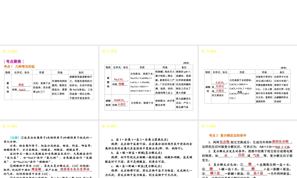 2013届中考化学考前热点聚焦《第16课时 盐 化学肥料》（单课考点聚焦+热考精讲+知识点归类）课件 沪教版