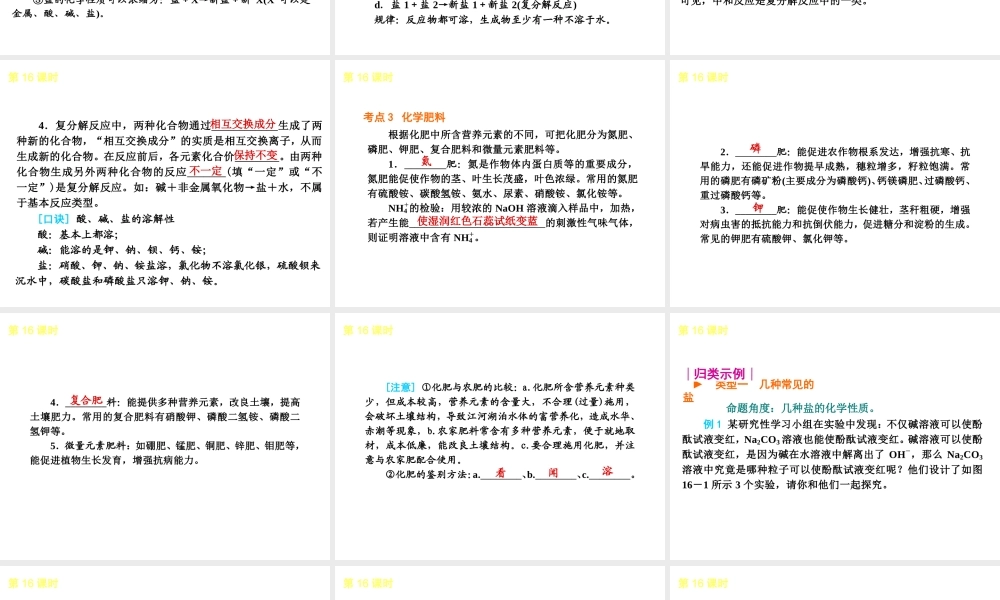 2013届中考化学考前热点聚焦《第16课时 盐 化学肥料》（单课考点聚焦+热考精讲+知识点归类）课件 沪教版