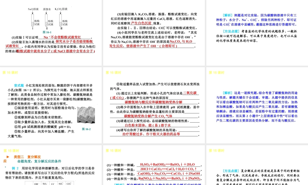 2013届中考化学考前热点聚焦《第16课时 盐 化学肥料》（单课考点聚焦+热考精讲+知识点归类）课件 沪教版