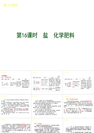 2013届中考化学考前热点聚焦《第16课时 盐 化学肥料》（单课考点聚焦+热考精讲+知识点归类）课件 沪教版