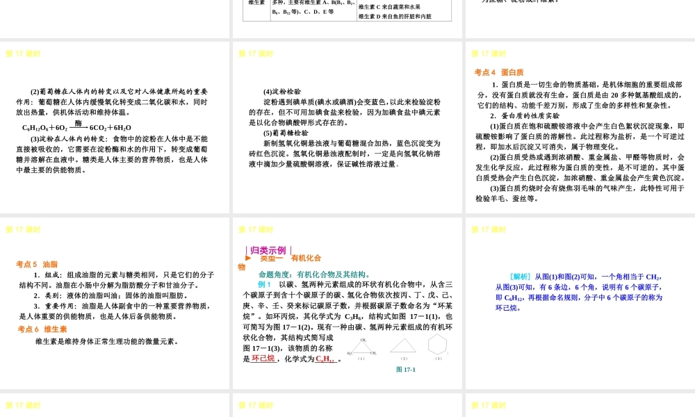 2013届中考化学考前热点聚焦《第17课时 食品中的有机化合物》（单课考点聚焦+热考精讲+知识点归类）课件 沪教版