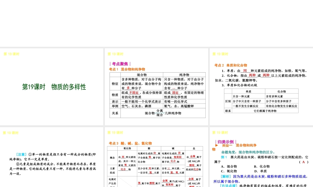 2013届中考化学考前热点聚焦《第19课时 物质的多样性》（单课考点聚焦+热考精讲+知识点归类）课件 沪教版