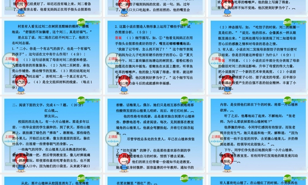 2010年高三英语高考二轮复习专题PPT学案：谁的眼泪在飞——小说阅读