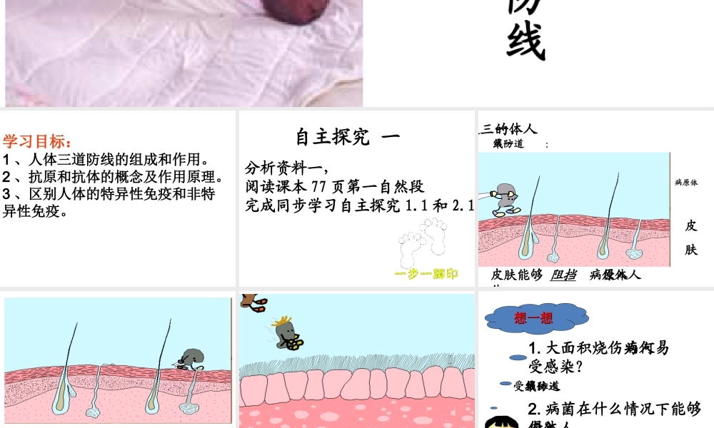 2013届中考生物 查漏补缺复习 专题八 免疫与计划免疫课件