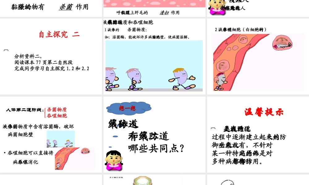 2013届中考生物 查漏补缺复习 专题八 免疫与计划免疫课件