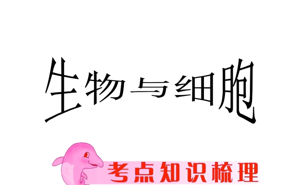 2013届中考生物 查漏补缺复习 专题二 生物与细胞课件