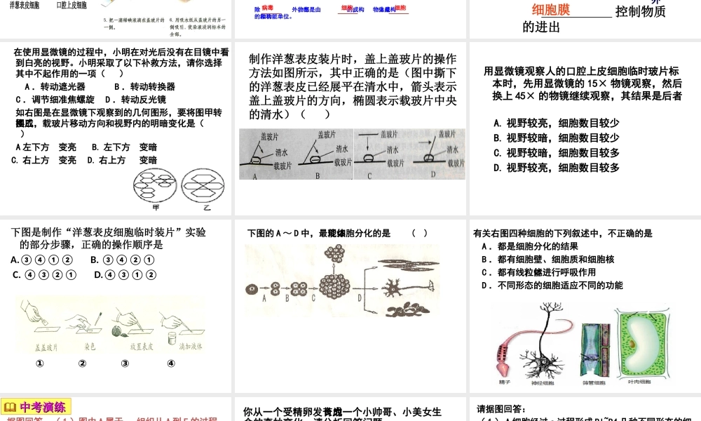 2013届中考生物 查漏补缺复习 专题二 生物与细胞课件
