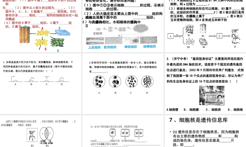 2013届中考生物 查漏补缺复习 专题二 生物与细胞课件
