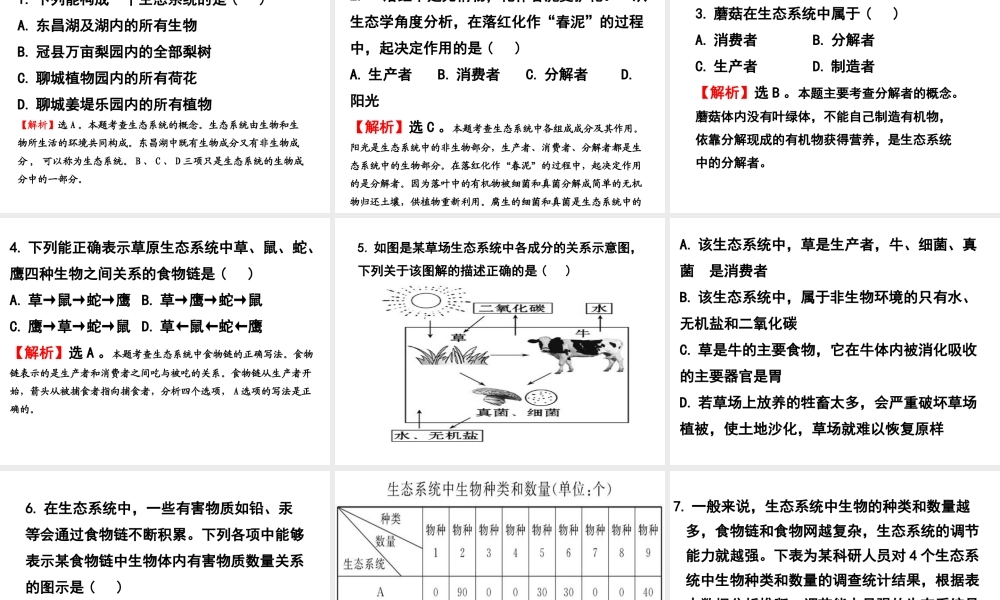 2013届中考生物 查漏补缺复习 专题九 生态系统课件