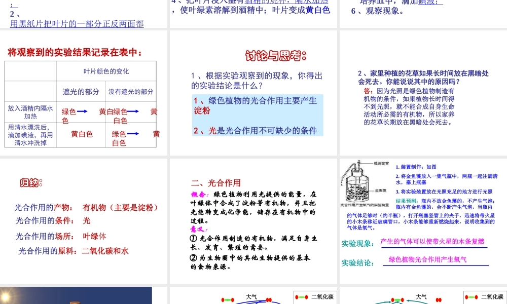 2013届中考生物 查漏补缺复习 专题六 绿色植物与生物圈中的碳氧平衡课件