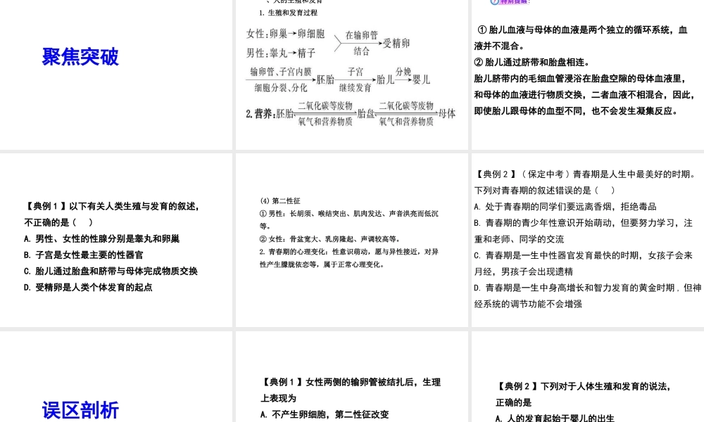 2013届中考生物 查漏补缺复习 专题七 人类的生殖和发育课件