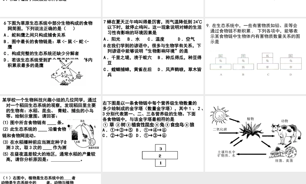 2013届中考生物 查漏补缺复习 专题三 生物与环境课件