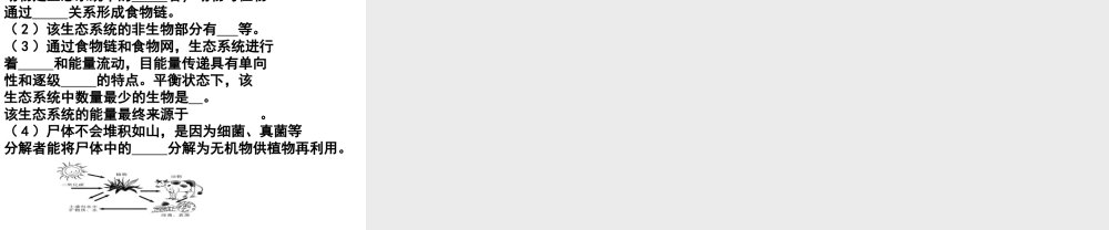 2013届中考生物 查漏补缺复习 专题三 生物与环境课件