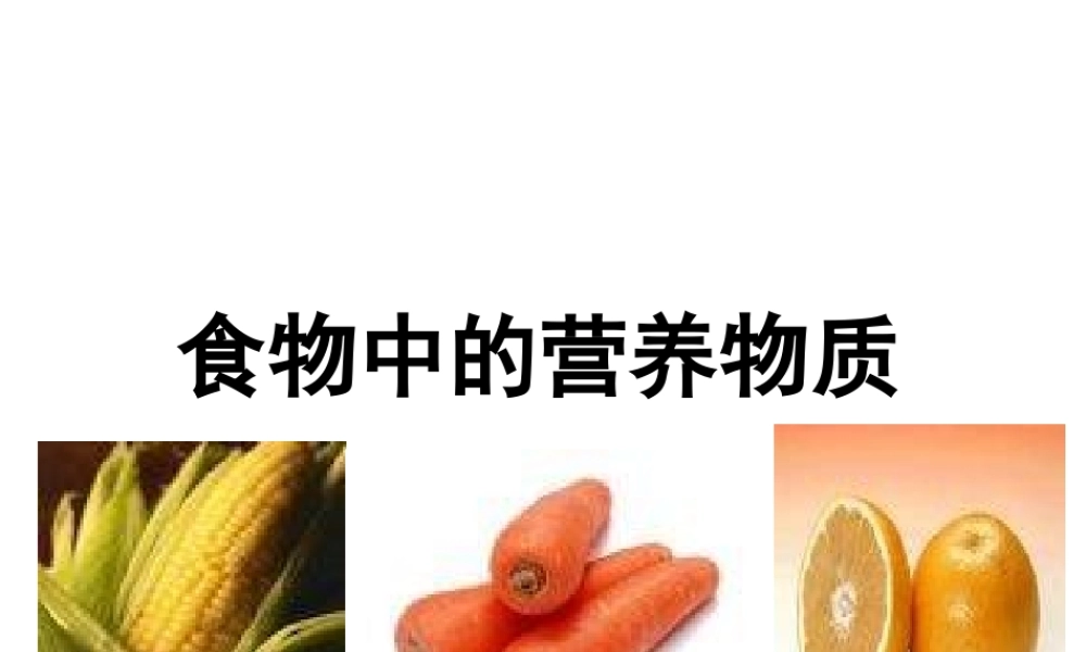 2013届中考生物 查漏补缺复习 专题十 食物中的营养物质课件