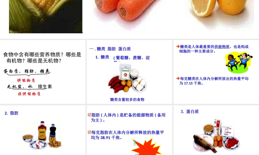 2013届中考生物 查漏补缺复习 专题十 食物中的营养物质课件