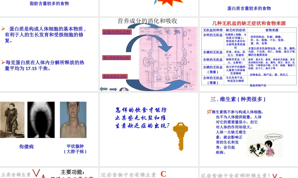 2013届中考生物 查漏补缺复习 专题十 食物中的营养物质课件