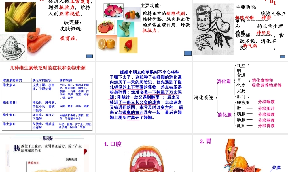 2013届中考生物 查漏补缺复习 专题十 食物中的营养物质课件